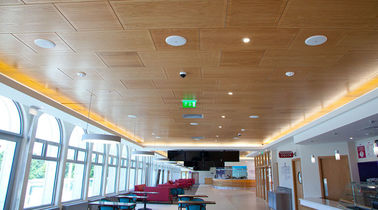 Fireproof Wooden Acoustic Perforated MDF Panels For Wall And Ceiling