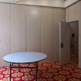 Soundproofing Foldable Wall Sliding Folding Door Partition Panel With Access Door