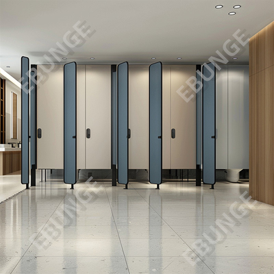 Customized Modern 304 Stainless Steel Toilet Partitions With Complete Privacy